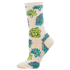 Succulents 6 Pack - Cotton Crew